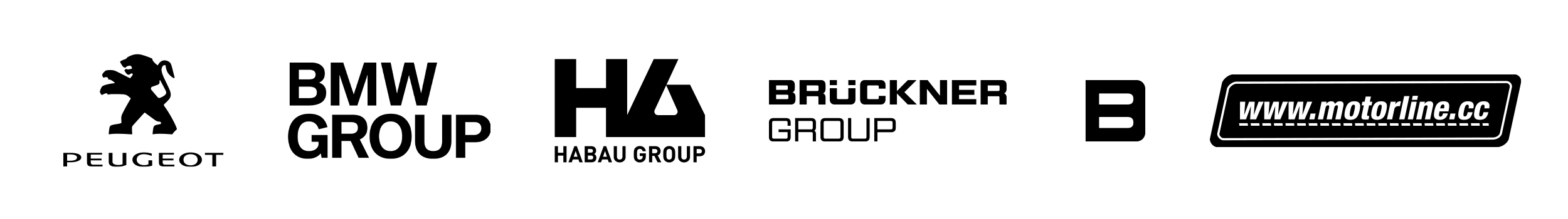 Kundenlogo Slider