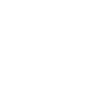 Icon FB