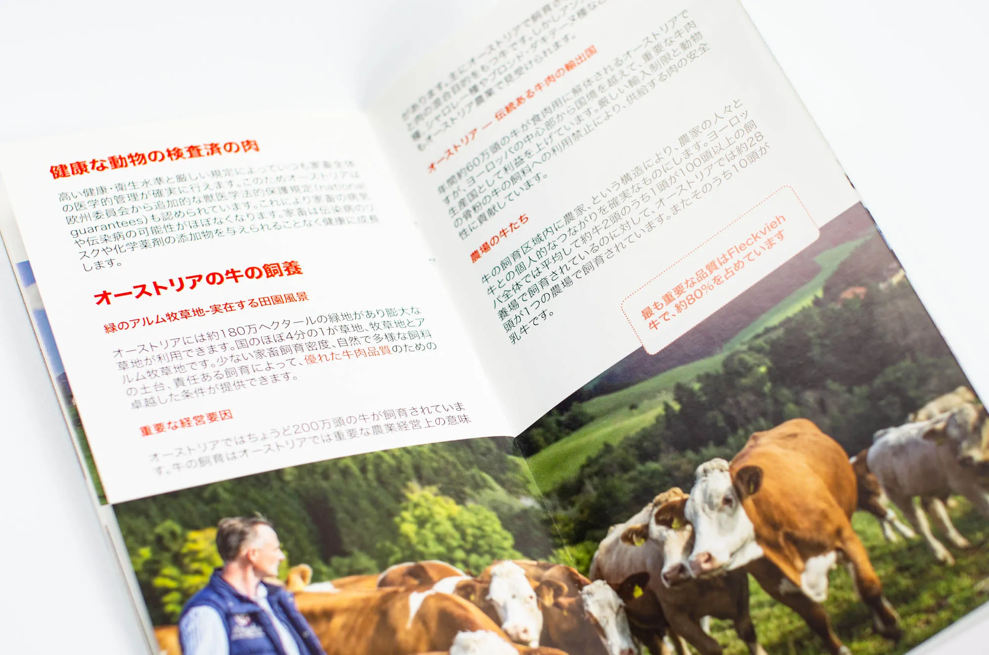 backline_branding_agency_ama_08 Portfolio Agrarmarkt Austria Marketing GmbH: Folder Japan