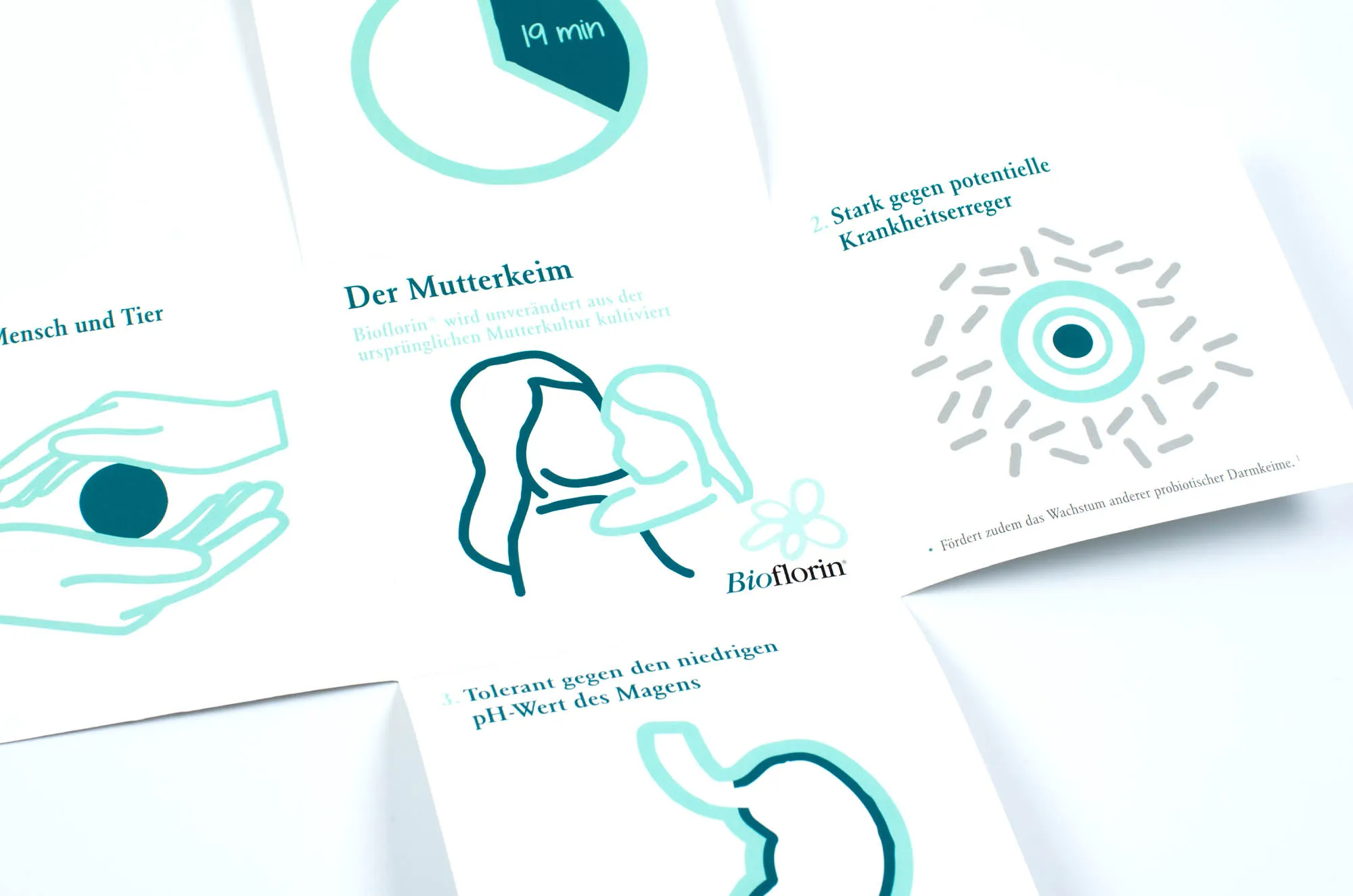 Portfolio: Sanova | Bioflorin Folder Portfolio: Sanova | Bioflorin Folder
